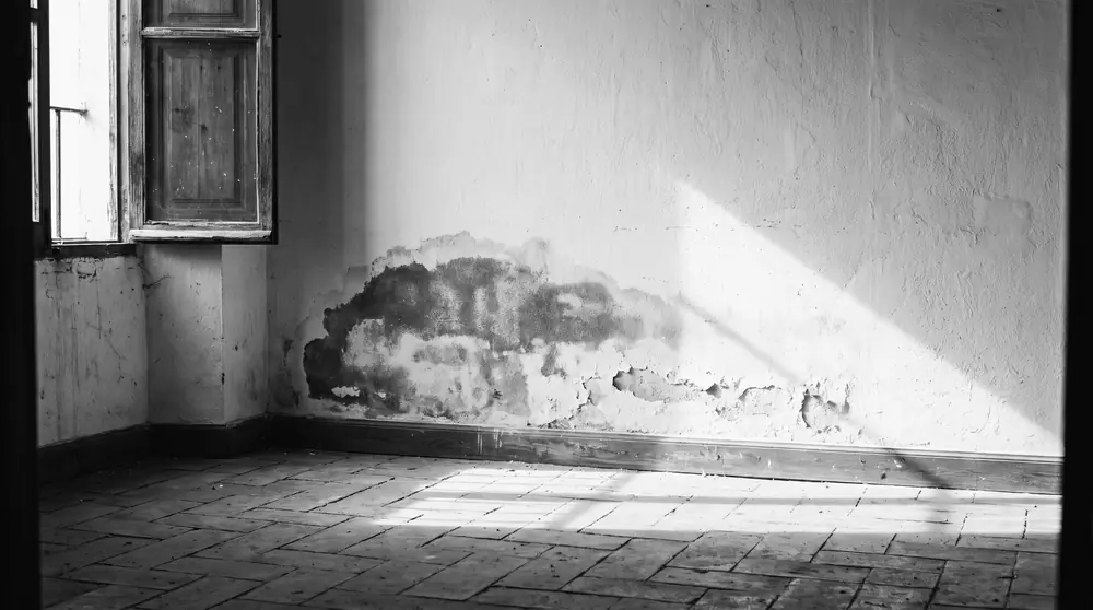 Pared con humedad y pintura levantada en una vivienda antigua