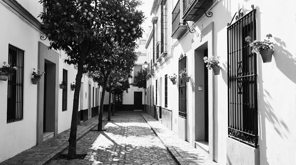 Calle del barrio de Santa Cruz de Sevilla con naranjos y rejas